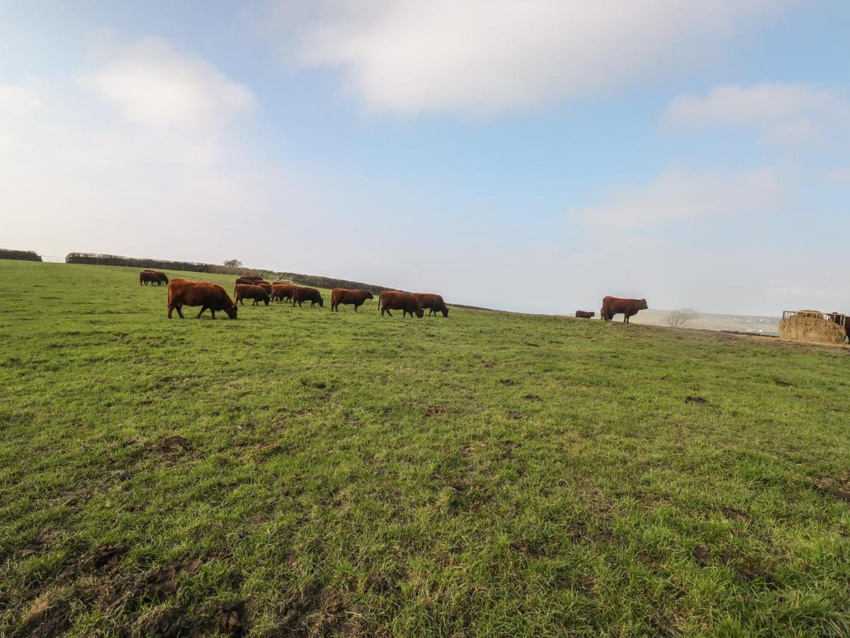 בוסקאסל Home Farm Cottage מראה חיצוני תמונה
